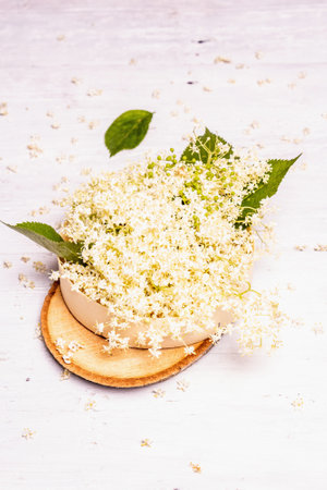 Fresh elderberry flowers. Ingredient for healthy food concept. Old white wooden boards background, copy spaceの写真素材