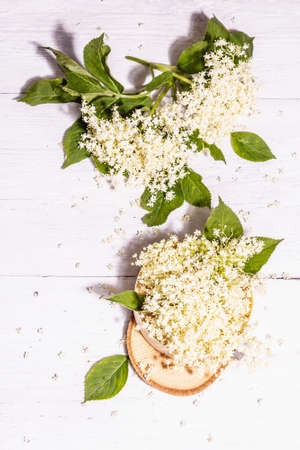 Fresh elderberry flowers. Ingredient for healthy food concept. Trendy hard light, dark shadow. Old white wooden boards background, top viewの写真素材