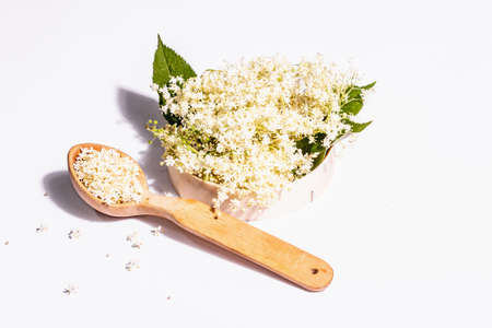 Fresh elderberry flowers isolated on white background. Ingredient for healthy food concept. Modern hard light, dark shadowの写真素材