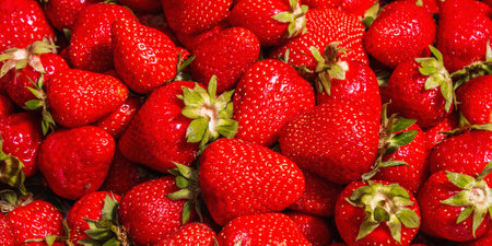 Strawberry background. Fresh ripe fruits, summer food background. Trendy hard light, dark shadow. Bright pattern, texture, bannerの写真素材