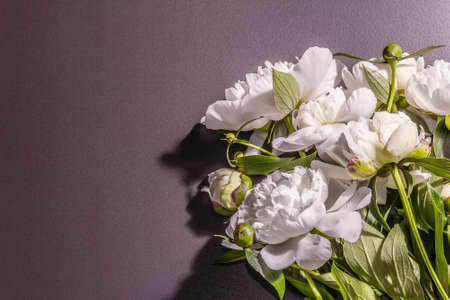Bouquet of fresh white peonies. Summer delicate flowers, romantic gift concept. Floral arrangement, trendy hard light, dark shadows. Black stone concrete backgroundの写真素材