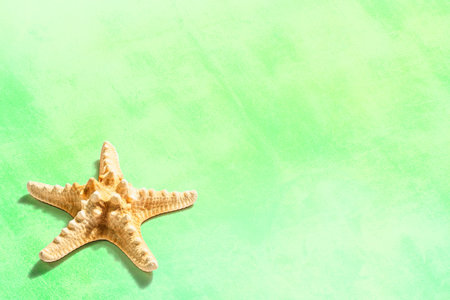 Single starfish on a green summer background. Vacation concept, sea card. A trendy hard light, dark shadow, flat lay, mockup, templateの写真素材