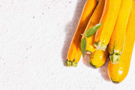 Fresh orange zucchini. Ripe vegetables harvest. Trendy hard light, dark shadow, white putty background, top viewの写真素材