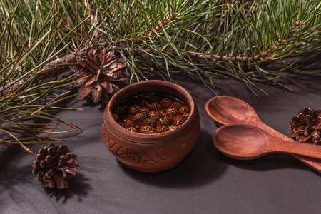 Sweet pine cone jam. Traditional Siberian dessert, fresh evergreen branches. Trendy hard light, dark...