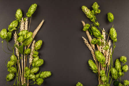 Wheat beer concept background. Cones of hops and wheat ears arranged symmetrically on the black stone concrete surface. Oktoberfest template with copy space, top viewの写真素材