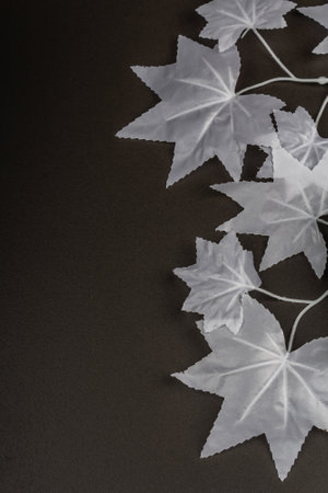 Halloween concept. Ghostly white maple leaves on a branch. Traditional holiday decor on black stone concrete background, top viewの写真素材