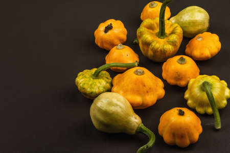 Harvest of various ripe pumpkins. Colorful festive background, Thanksgiving Day or Halloween. Black stone concrete background, copy spaceの写真素材