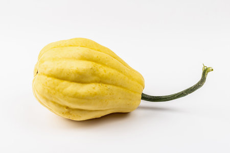 Ripe orange pumpkin isolated on white background. Whole squash, traditional festive decorative...