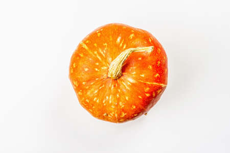 Ripe decorative pumpkin isolated on a white background. Whole Cucurbita maxima squash, traditional festive decorative element for Halloween or Thanksgivingの写真素材