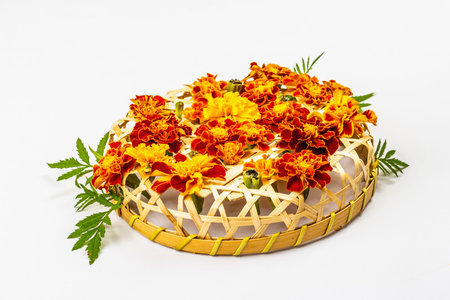 Autumn composition from assorted marigold flowers, isolated on a white background. Floral multicolored assortment, fresh leaves on wicker basketの写真素材