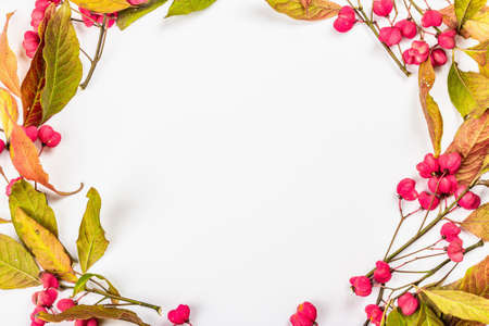 Wreath from Euonymus europaeus isolated on a white background. Autumn frame decorative composition with toxic fruits, orange seeds, and fall colorful leavesの写真素材