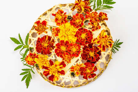 Autumn composition from assorted marigold flowers, isolated on a white background. Floral multicolored assortment, fresh leaves on wicker basketの写真素材