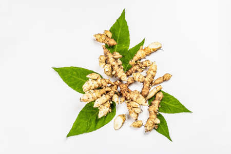 Raw Jerusalem artichoke isolated on white background. Freshly dug tubers ready to cook, flat lay, mockup, templateの写真素材