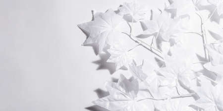 Halloween concept. Ghostly white maple leaves on a branch. Traditional holiday decor on white...