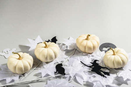 Halloween concept. Ghostly white maple leaves on a branch and white pumpkins. Traditional holiday decor on gray background. A trendy hard light, dark shadow, copy spaceの写真素材