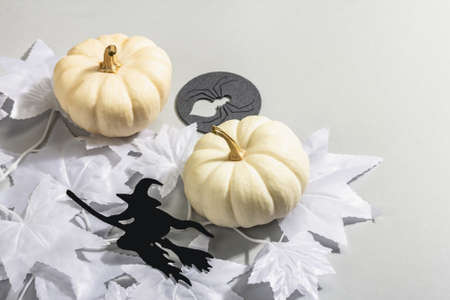 Halloween concept. Ghostly white maple leaves on a branch and white pumpkins. Traditional holiday decor on gray background. A trendy hard light, dark shadow, copy spaceの写真素材