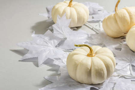 Halloween concept. Ghostly white maple leaves on a branch and white pumpkins. Traditional holiday decor on gray background. A trendy hard light, dark shadow, copy spaceの写真素材