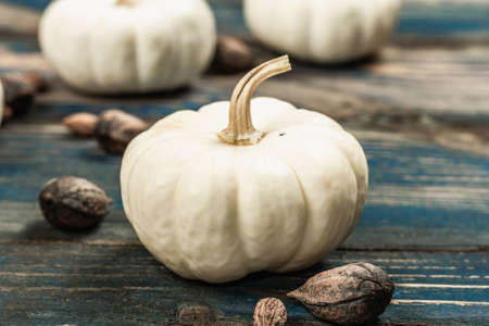 Minimalist Autumn flat lay with white pumpkins Baby Boo grade and different texture seeds. Old blue wooden boards background, selective focusの写真素材