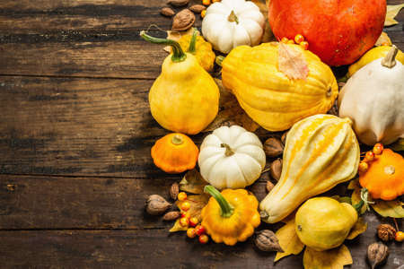 Various pumpkins and squashes harvest. Beautiful autumn background with decorative and edible vegetables, berries, nuts and fall leaves. Vintage wooden background, top viewの写真素材