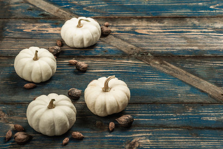 Minimalist Autumn flat lay with white pumpkins Baby Boo grade and different texture seeds. Old blue wooden boards background, copy spaceの写真素材