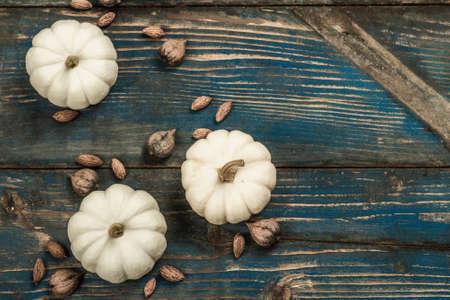 Minimalist Autumn flat lay with white pumpkins Baby Boo grade and different texture seeds. Old blue wooden boards background, top viewの写真素材