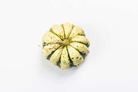 Ripe green pumpkin isolated on white background. Whole squash, traditional festive decorative element for Halloween or Thanksgivingの写真素材