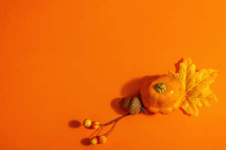 Autumn frame composition, isolated on an orange background. A wreath from ripe decorative pumpkins, fall leaves, berries, and acornsの写真素材