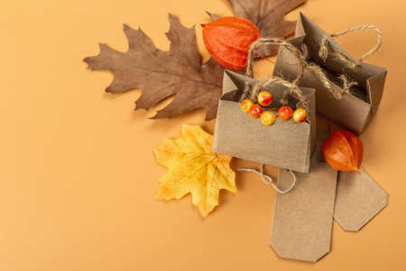 Black Friday Sale concept. Shopping paper bags, handmade tags, fall oak leaves, autumn decor. Light...