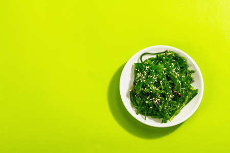 Chuka Seaweed Salad with sesame seeds and nut sauce. Trendy hard light, dark shadow. Sunny green background, flat lay, top viewの写真素材