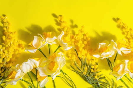 Spring flat lay with traditional flowers, bright yellow background. Easter card concept, trendy hard light, dark shadow, frame, top viewの写真素材
