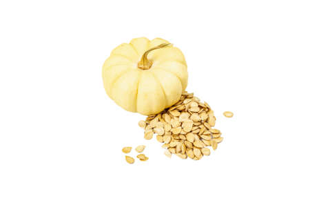 Baby Boo pumpkin with seeds isolated on white background. Traditional autumn decor, Halloween or Thanksgiving Dayの写真素材
