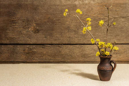 Fresh dogwood flowers in a ceramic vase. The concept for spring greeting card, Valentine's or Mother's Day, Women's Day, or Wedding. Wooden background, place for textの写真素材