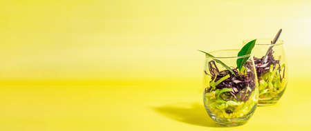 Salad from mixed cabbage served in glasses. Fresh vegan vitamin food. Spices, olive oil, dry berries. Healthy lifestyle concept. A trendy hard light, dark shadow, bright yellow backgroundの写真素材