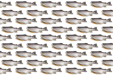 Raw trout carcass isolated on a white background pattern. Sea fish, healthy food, mockup, flat lay, template. A trendy hard light, dark shadowの写真素材