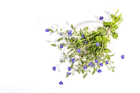 Blue forget me not flowers bouquet on trendy stand isolated on a white background. Springtime concept, floral element for design festive card, a hard light, dark shadow, top viewの写真素材
