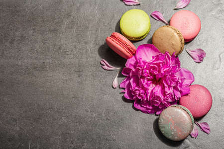 Macarons with peony flower on a stone background. Sweet dessert, colorful and pastel colors. Romantic style, festive card, flat lay, hard light, dark shadow, top viewの写真素材