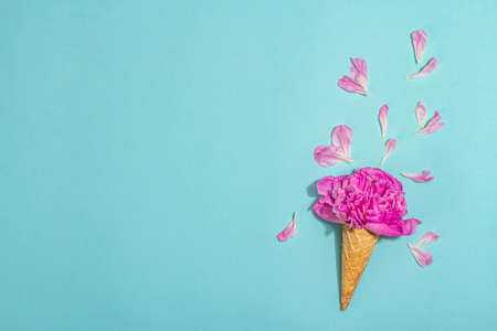 Ice cream waffle cones with peony on blue background. Flower petals, summer concept. Romantic style, festive card, hard light, dark shadow, top viewの写真素材