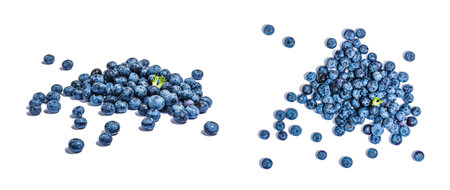 Harvest of ripe blueberries isolated on white background. Fresh fruits, ingredients of food healthy lifestyle. Modern hard light, dark shadow, mockup, template, flat lay, banner formatの写真素材