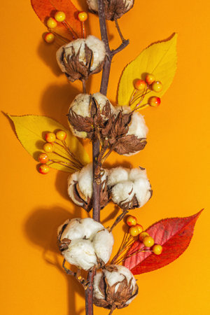 Vivid autumn composition. Soft cotton flowers, fall leaves and berries. Orange background, hard light, dark shadow, festive greeting card, flat lay, top viewの写真素材