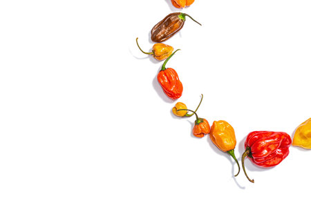 Assortment of colored peppers isolated on white background. Different varieties, wreath form, trendy...