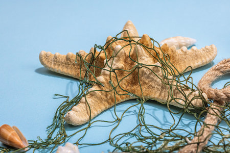 Blue nautical background with sea shells, starfishes and fishing net. Assorted marine animals, vacation concept. Trendy hard light, dark shadow, flat lay, close upの写真素材