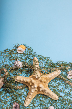 Blue nautical background with sea shells, starfishes and fishing net. Assorted marine animals, vacation concept. Trendy hard light, dark shadow, flat lay, top viewの写真素材