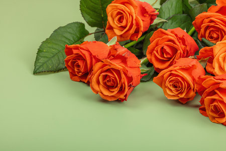 Bouquet of fresh bright roses on trendy green background. Romantic gift concept, greeting card. Valentines, Woman's or Mother's Day. Wedding, Anniversary, Birthday, flat lay, copy spaceの写真素材