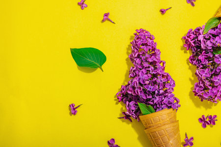 Violet lilac flowers in waffle ice cream cones on yellow background. Flat lay, traditional spring concept, greeting card, top viewの写真素材