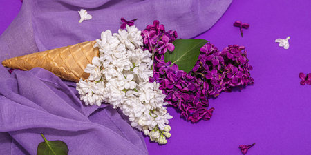 White and violet lilac flowers in waffle ice cream cones on purple background. Flat lay, traditional spring concept, greeting card, hard light, dark shadow, banner formatの写真素材