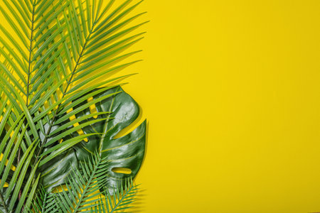 Summer vacation concept. Marine decor, palm and monstera leaves. Bright yellow background, hard light, dark shadow, flat lay, top viewの写真素材