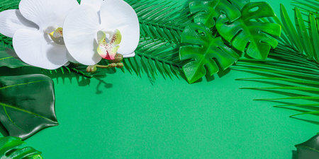 Summer vacation concept. Palm and monstera leaves, orchid flowers. Tropical green background, hard...