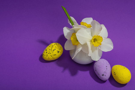 Blooming daffodils with Easter eggs and rabbits on purple background. Happy holiday concept,...