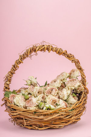 Creative composition with dry delicate roses in homemade wicker basket. Greeting card, pastel pink background, copy spaceの写真素材