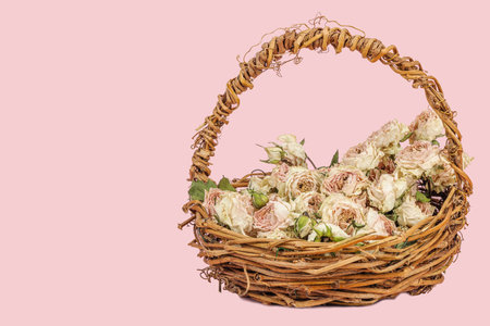 Creative composition with dry delicate roses in homemade wicker basket. Greeting card, pastel pink background, copy spaceの写真素材